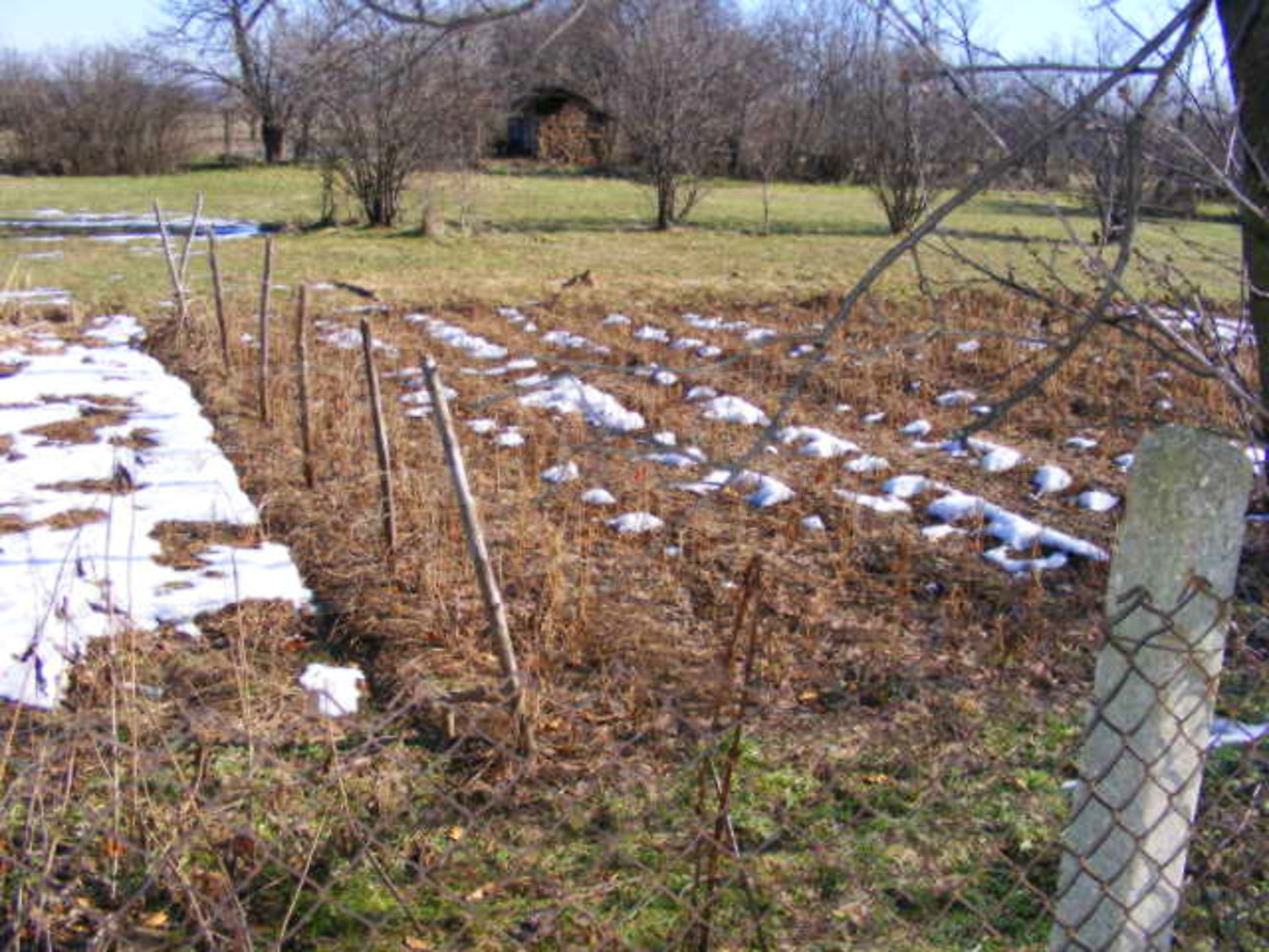 Gallery Picture 15