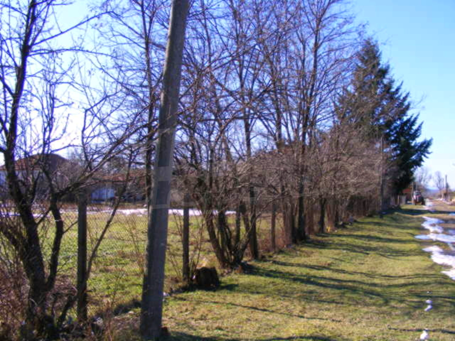 Gallery Picture 18