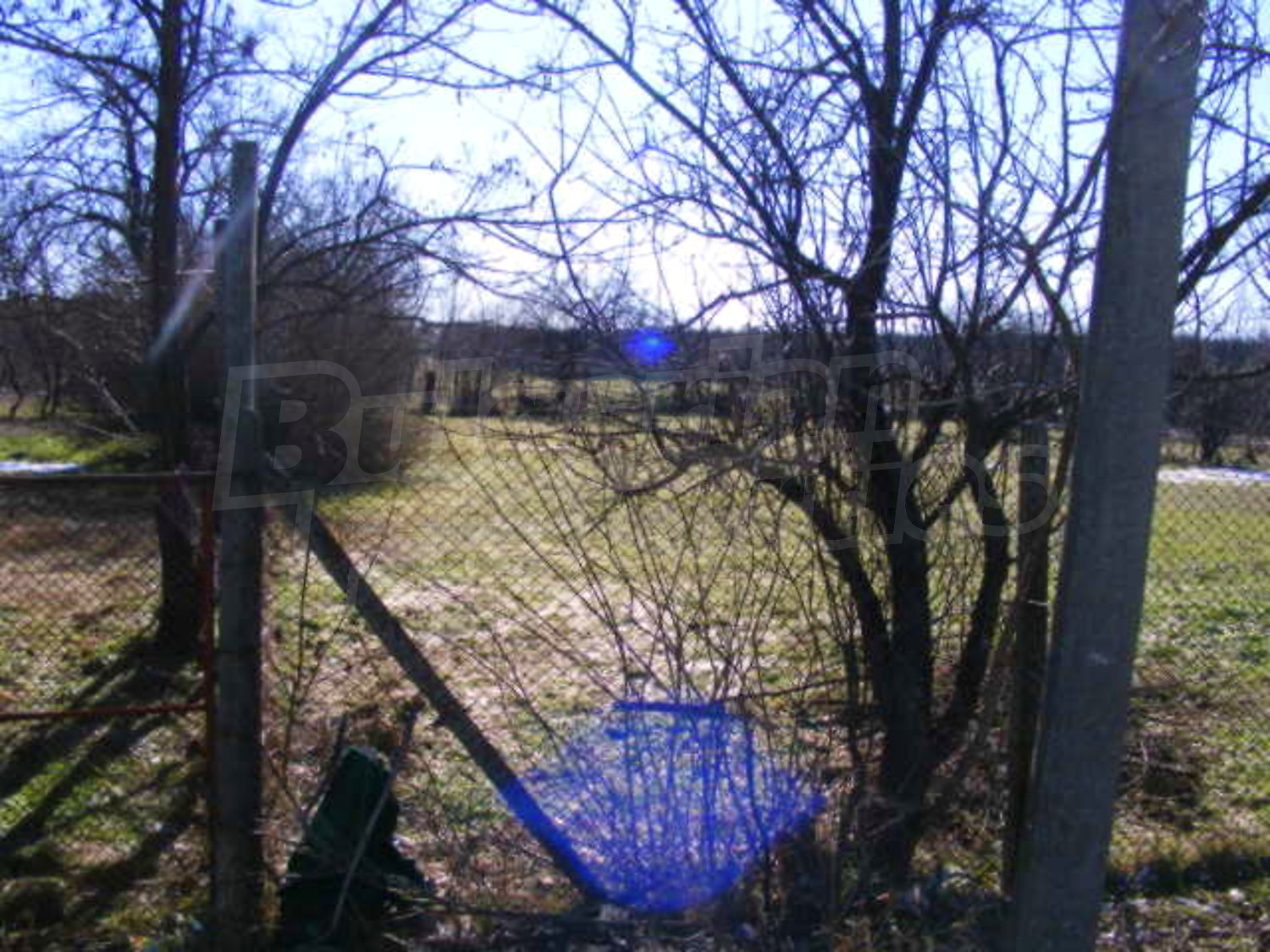 Gallery Picture 19
