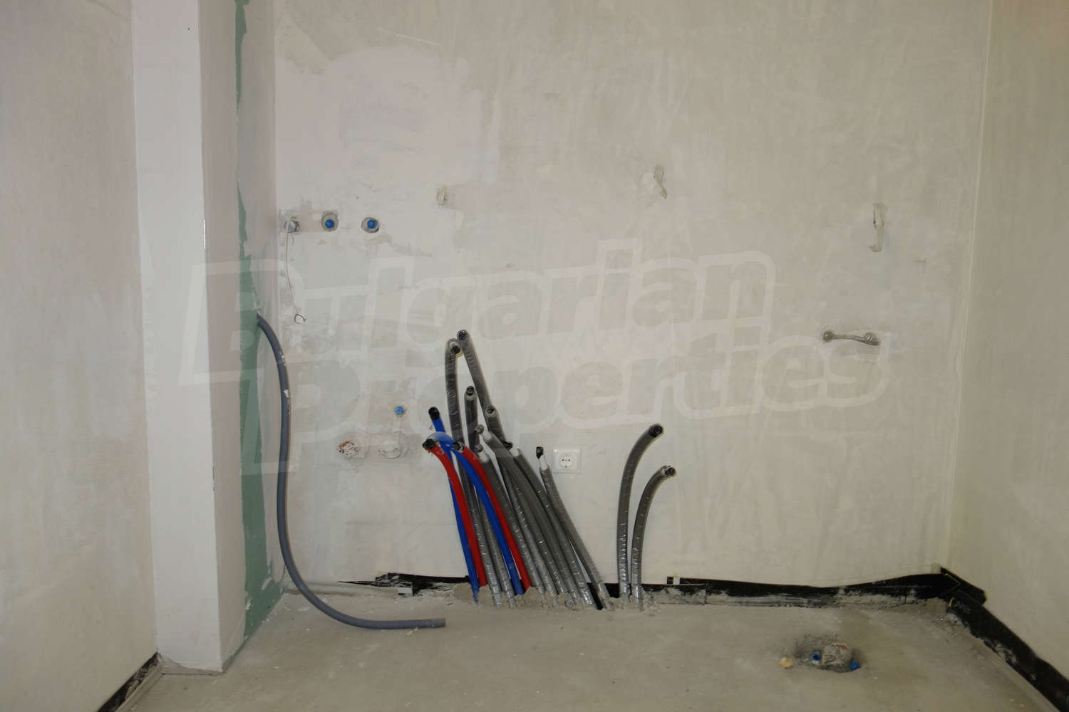 Gallery Picture 11