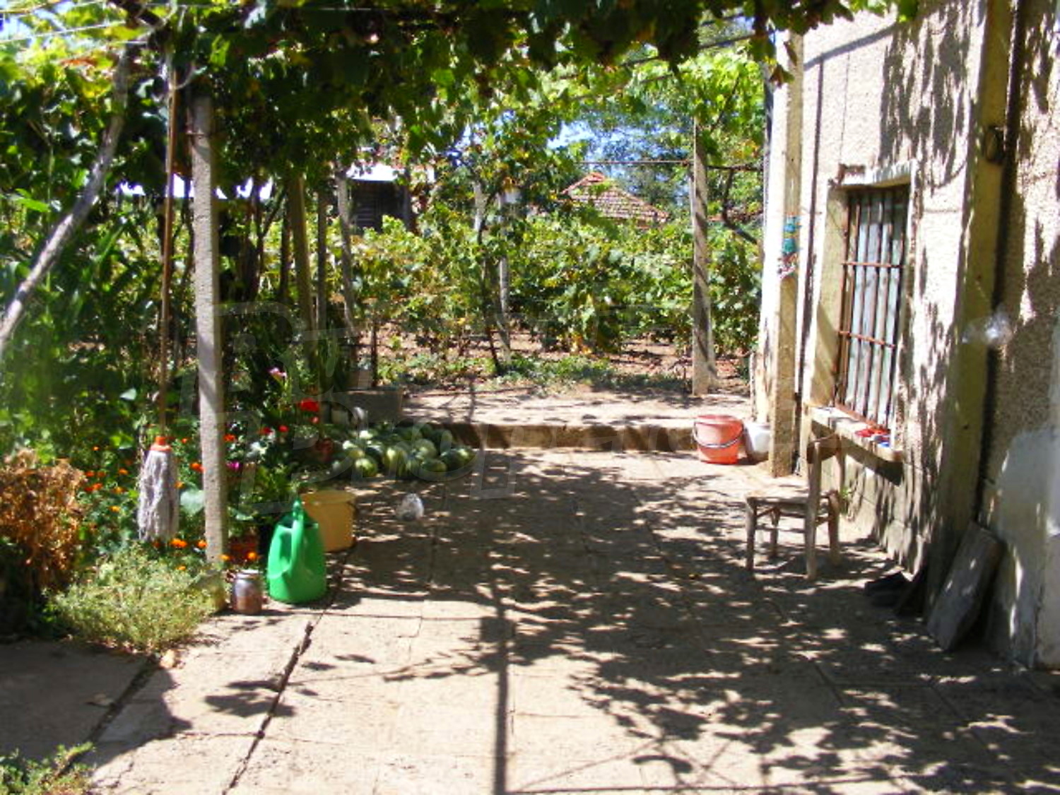 Gallery Picture 13