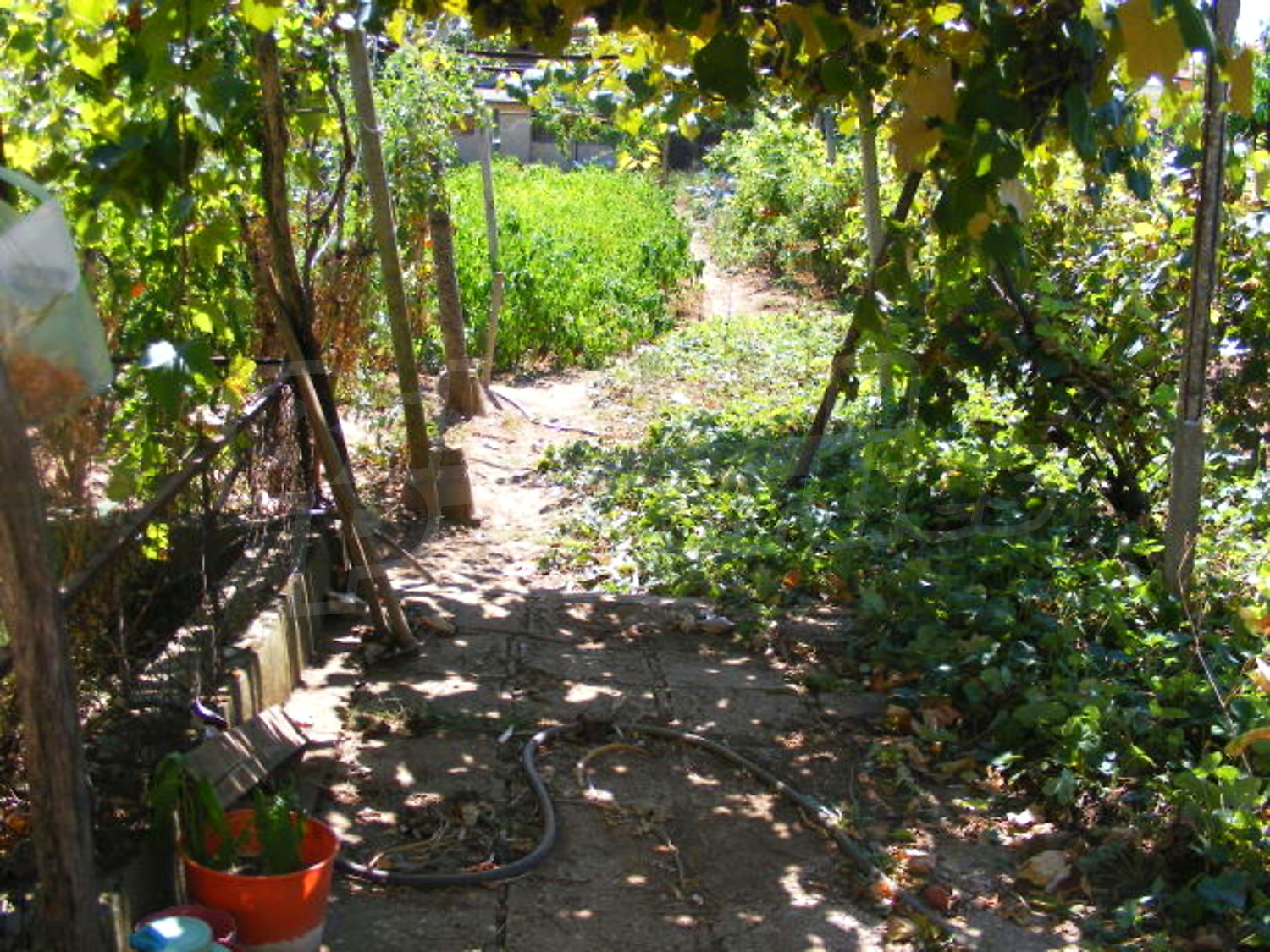 Gallery Picture 14