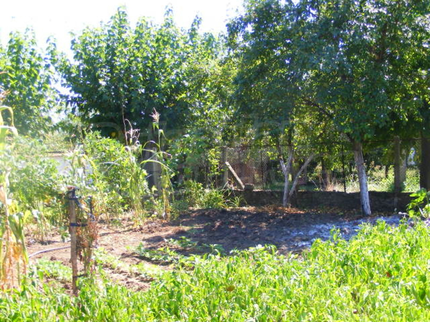Gallery Picture 16