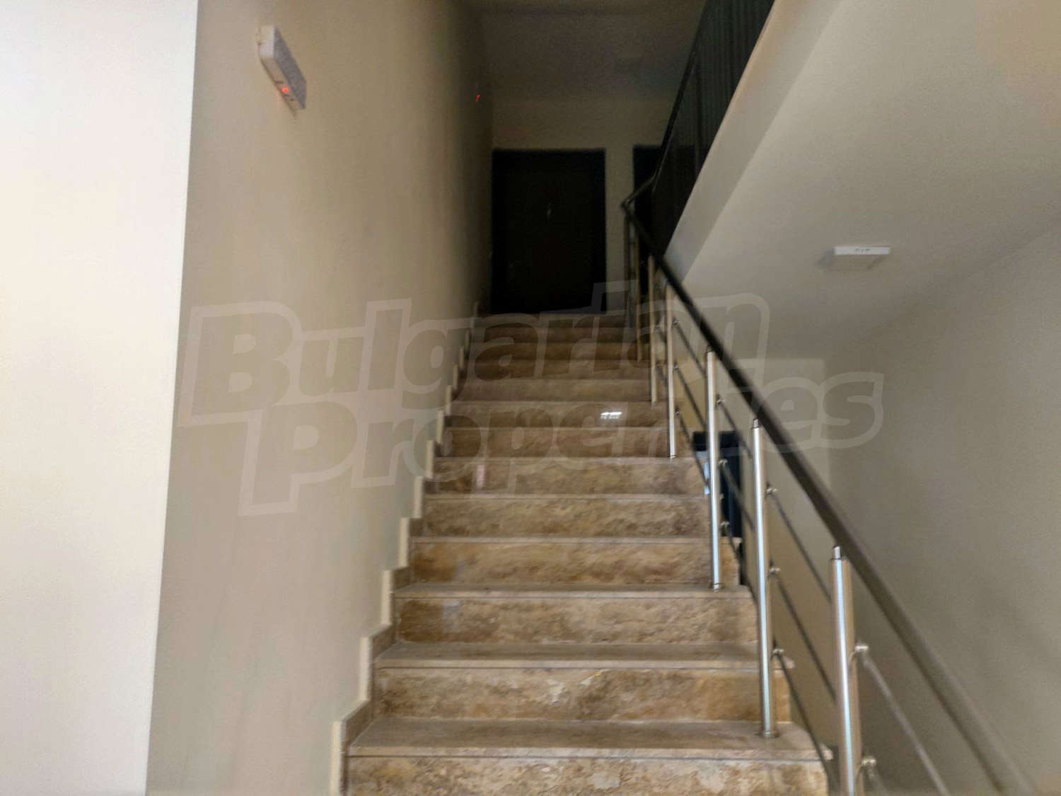 Gallery Picture 7
