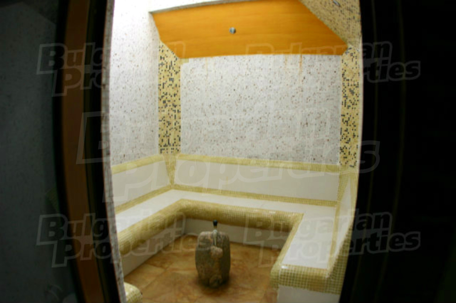 Gallery Picture 19