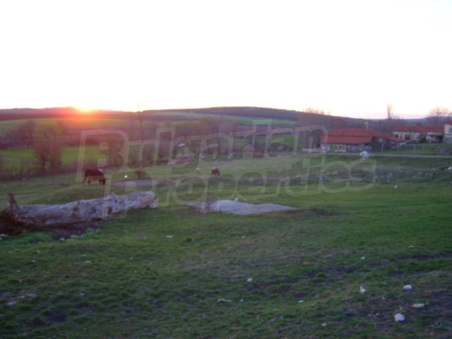 Gallery Picture 10