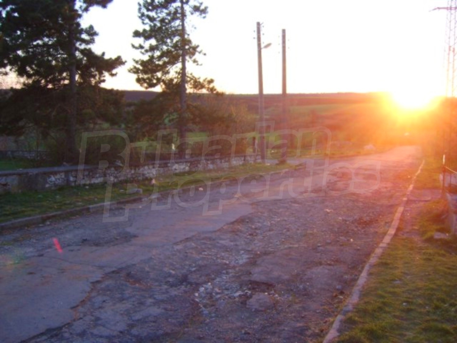 Gallery Picture 6