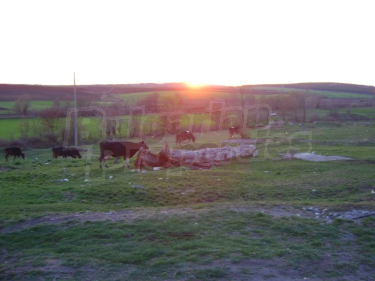 Gallery Picture 8