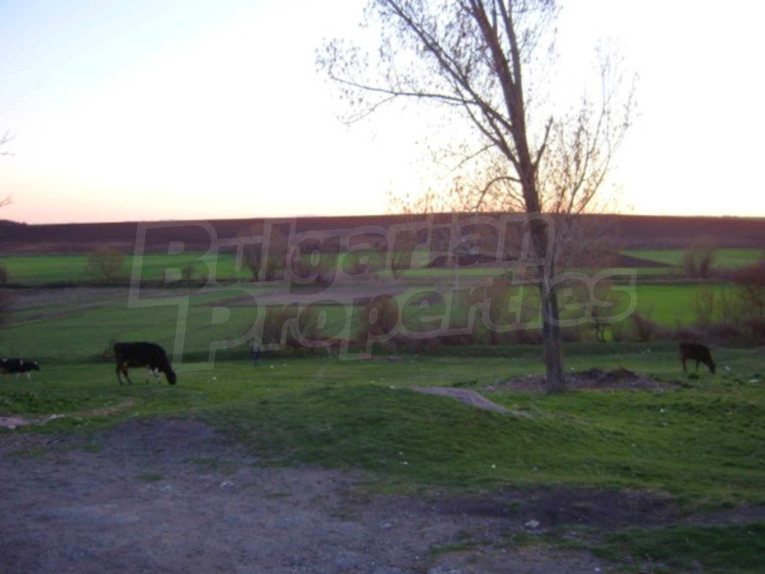 Gallery Picture 9