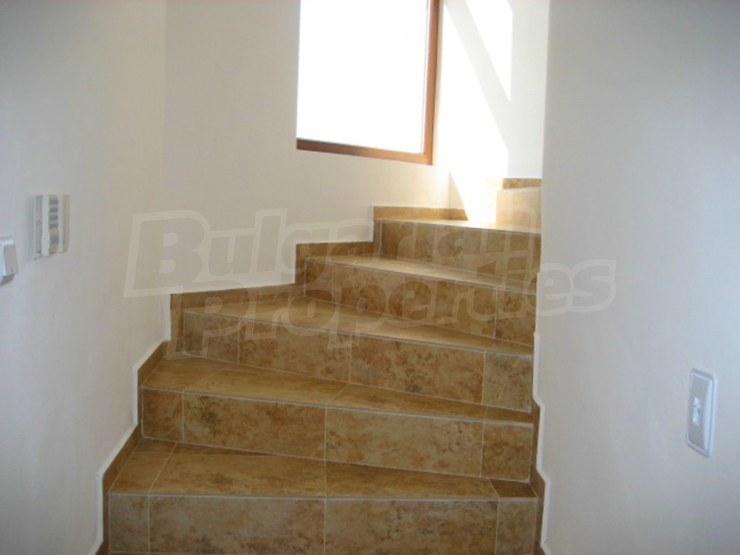 Gallery Picture 5