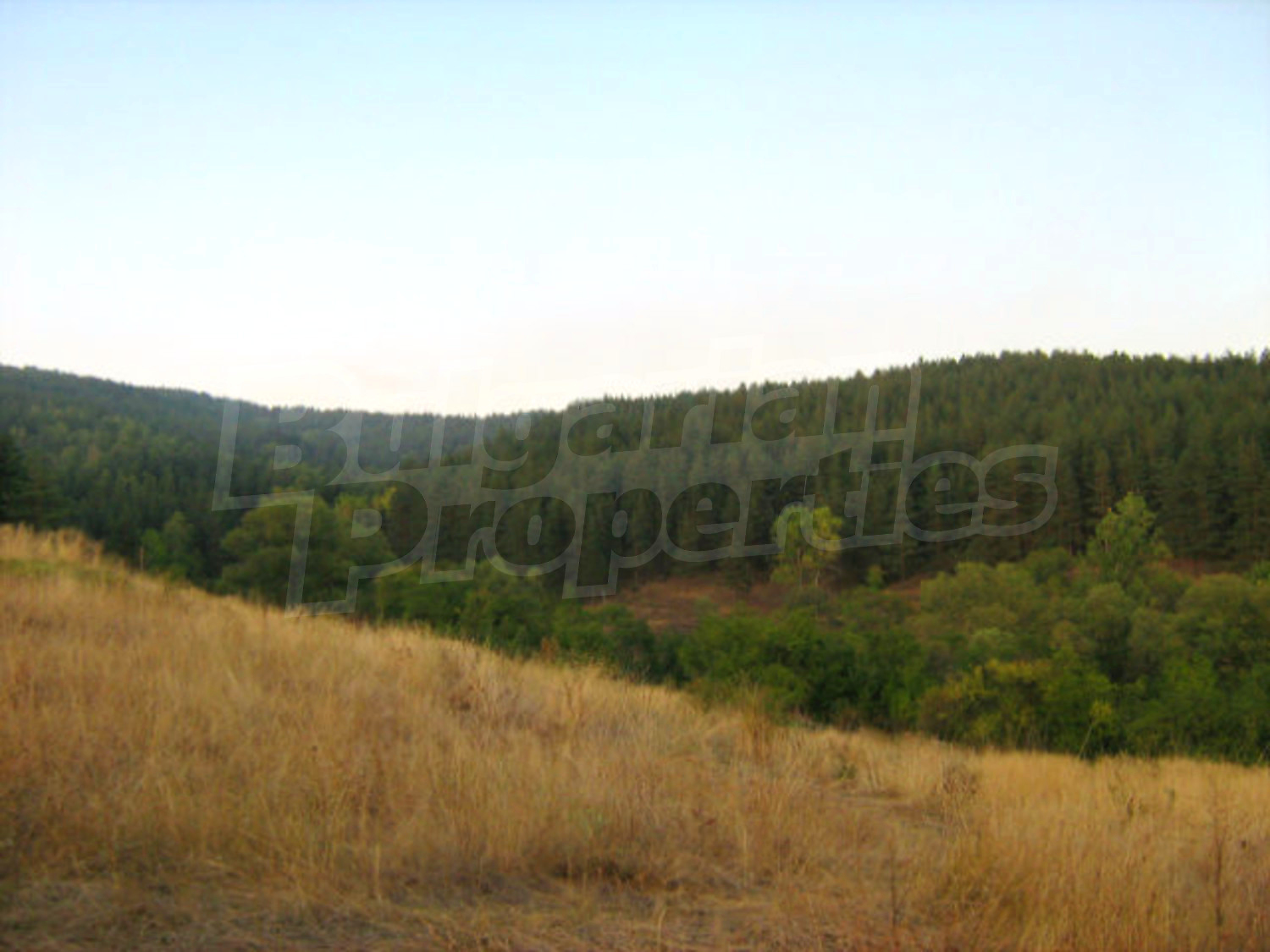 Gallery Picture 11