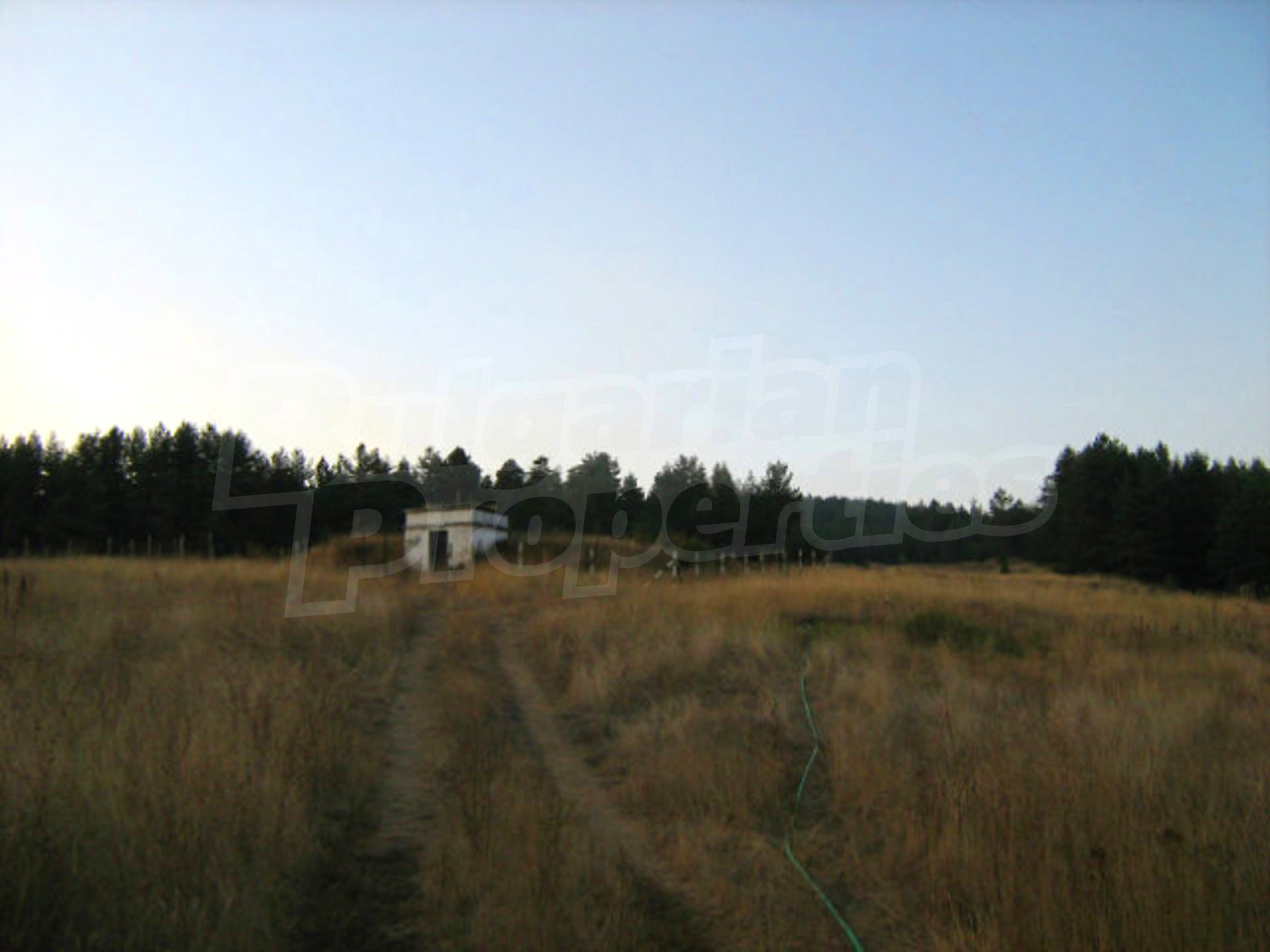 Gallery Picture 12