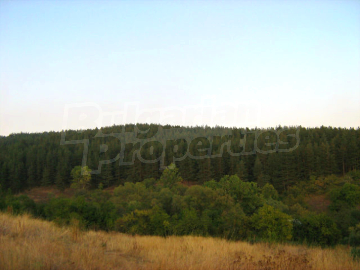 Gallery Picture 13