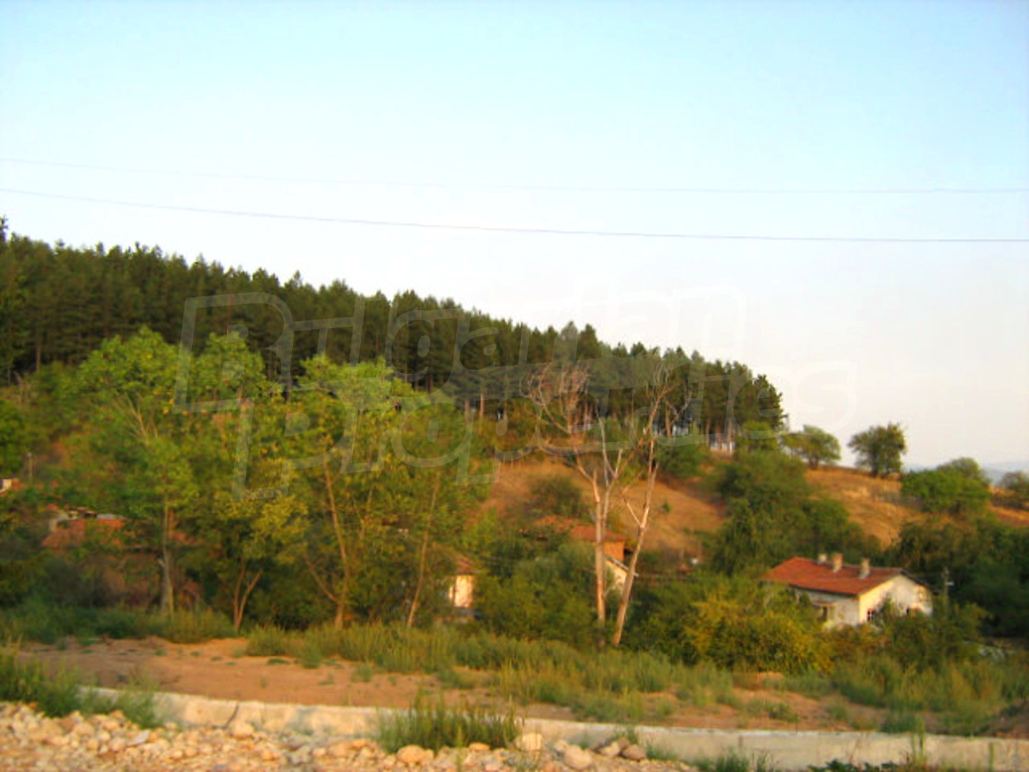 Gallery Picture 9