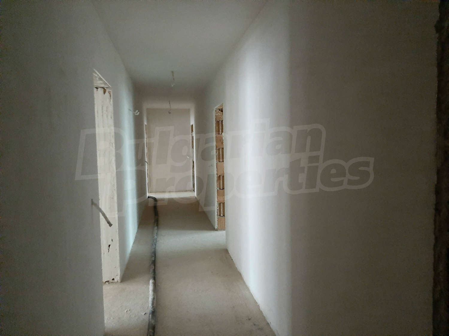 Gallery Picture 14