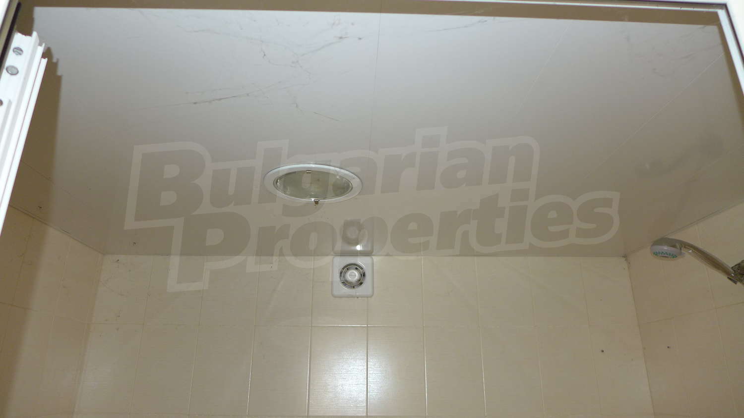Gallery Picture 24