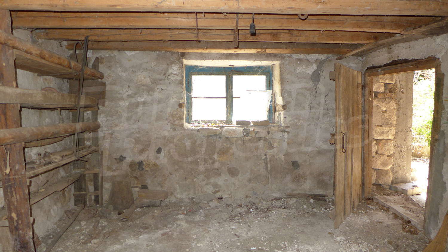 Gallery Picture 27