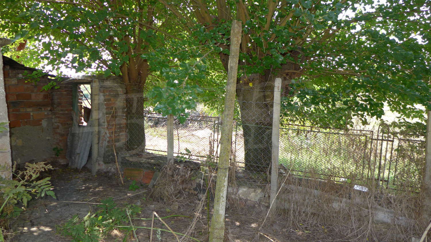 Gallery Picture 33