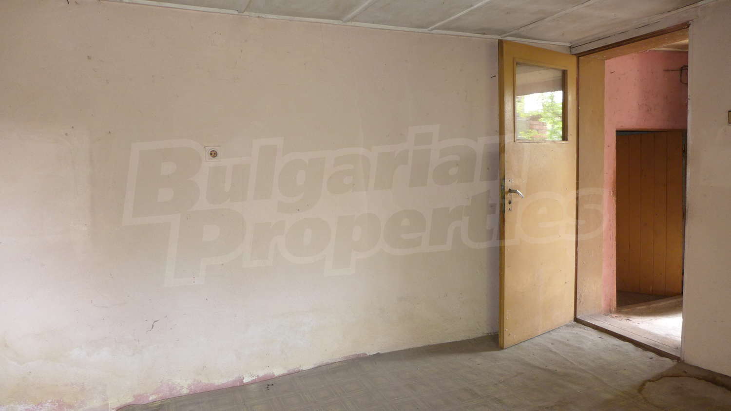 Gallery Picture 43