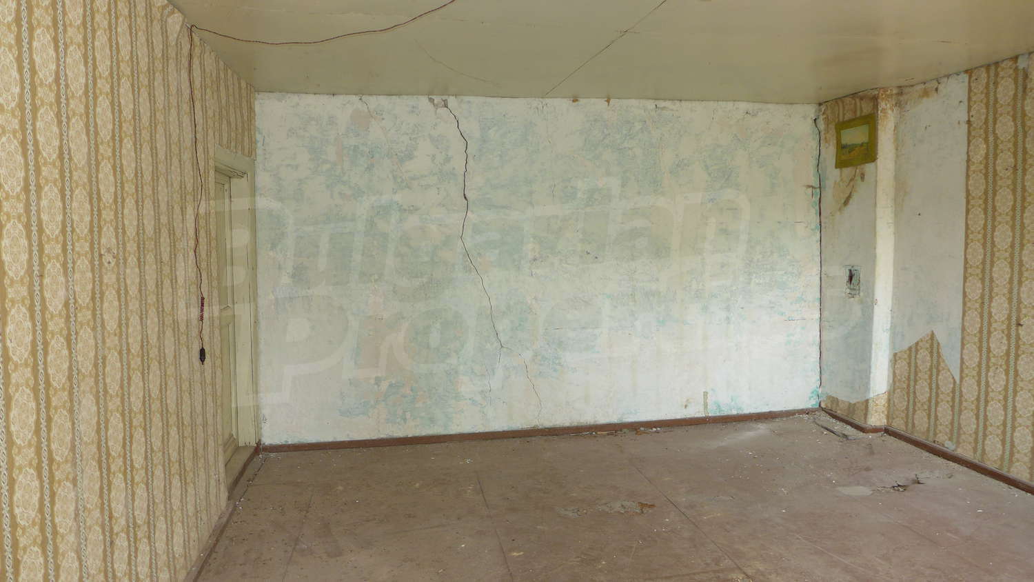 Gallery Picture 47