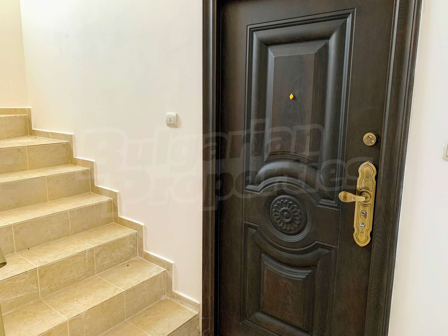 Gallery Picture 12