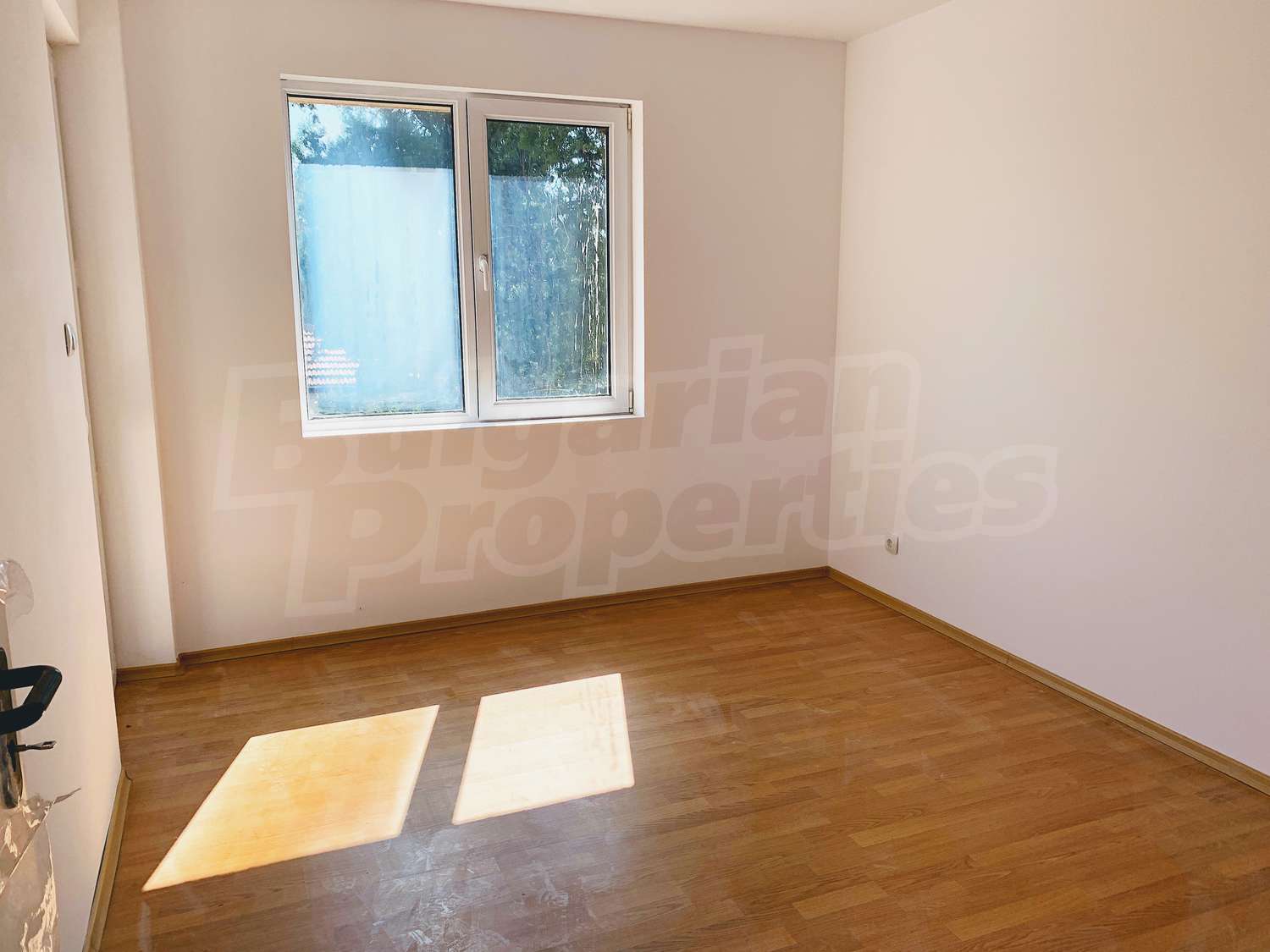 Gallery Picture 17