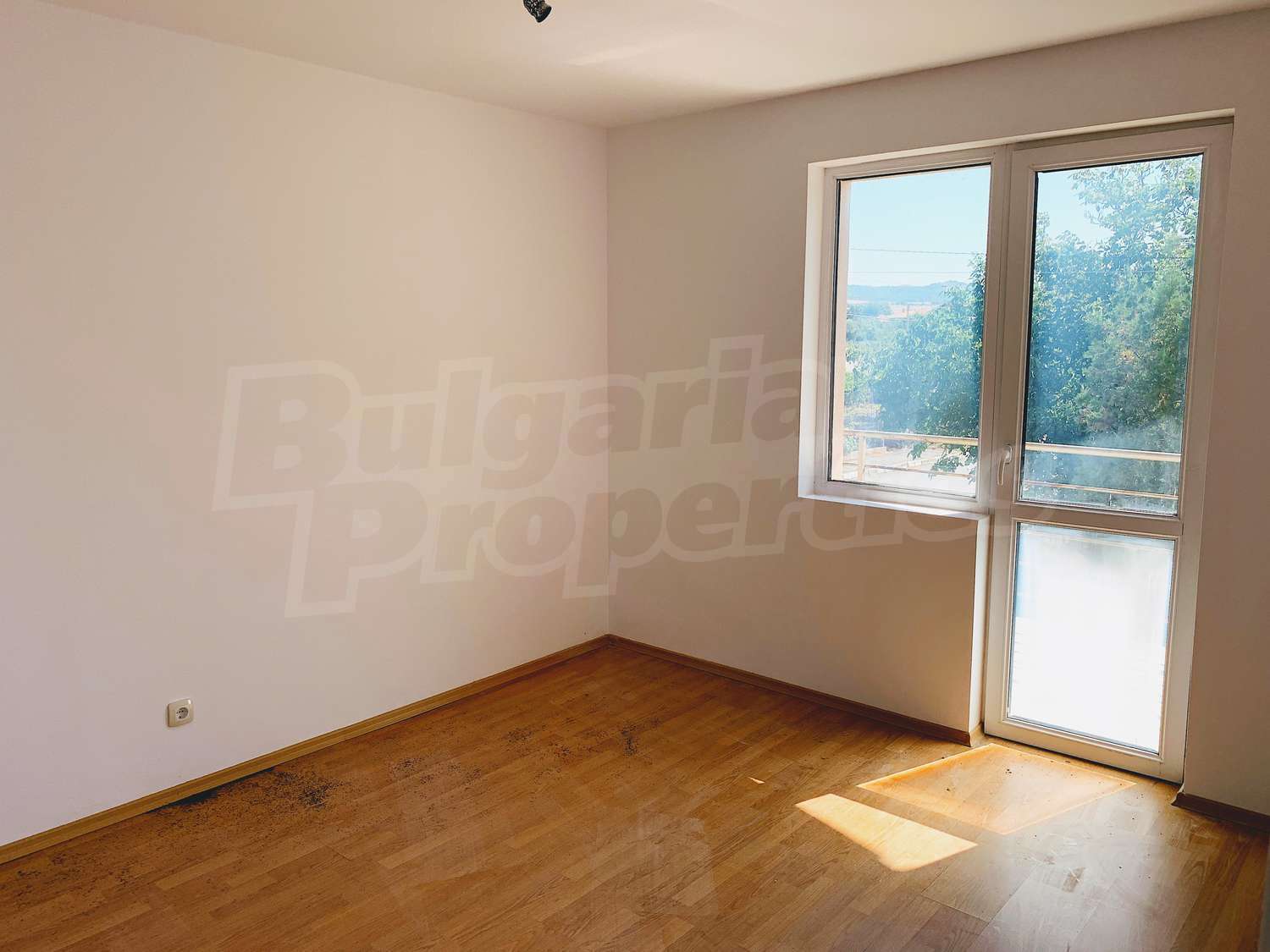 Gallery Picture 18