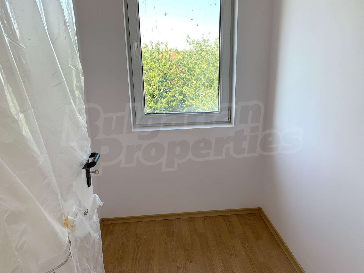 Gallery Picture 19