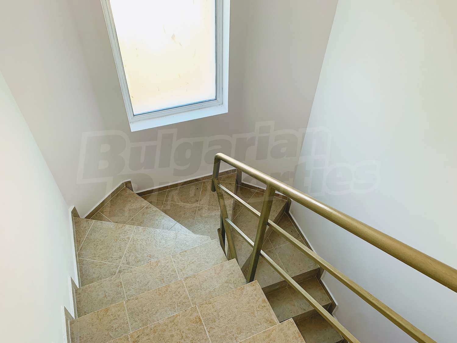 Gallery Picture 24