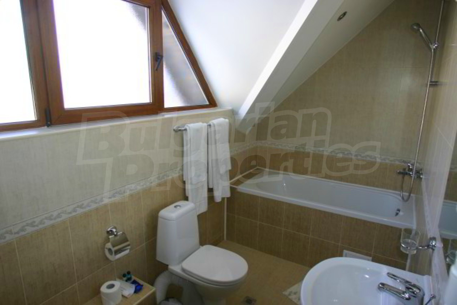 Gallery Picture 11