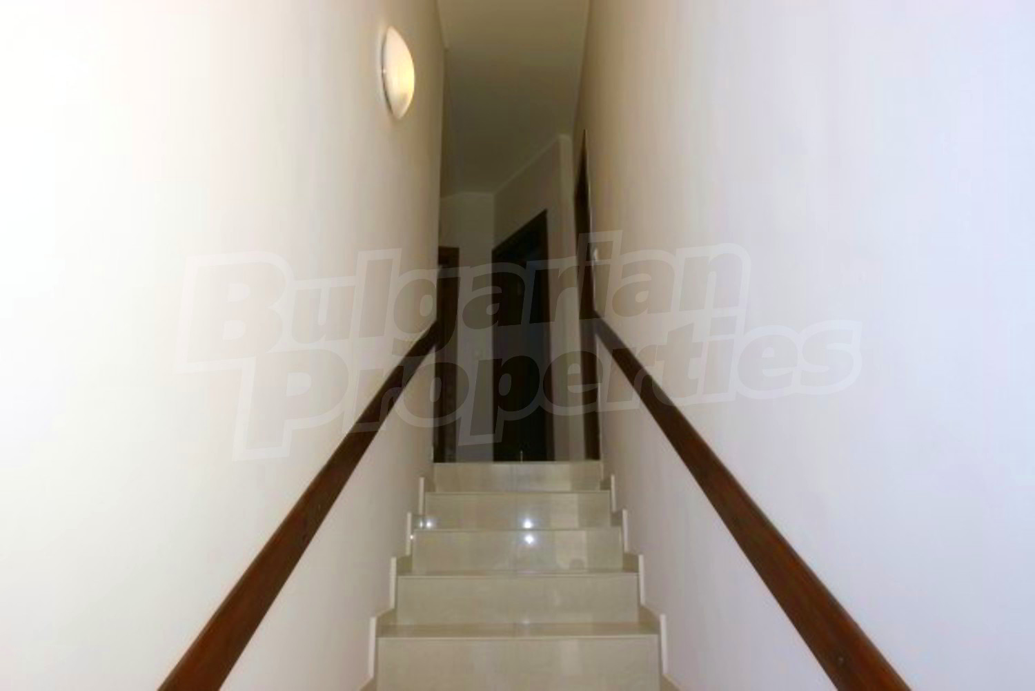 Gallery Picture 8