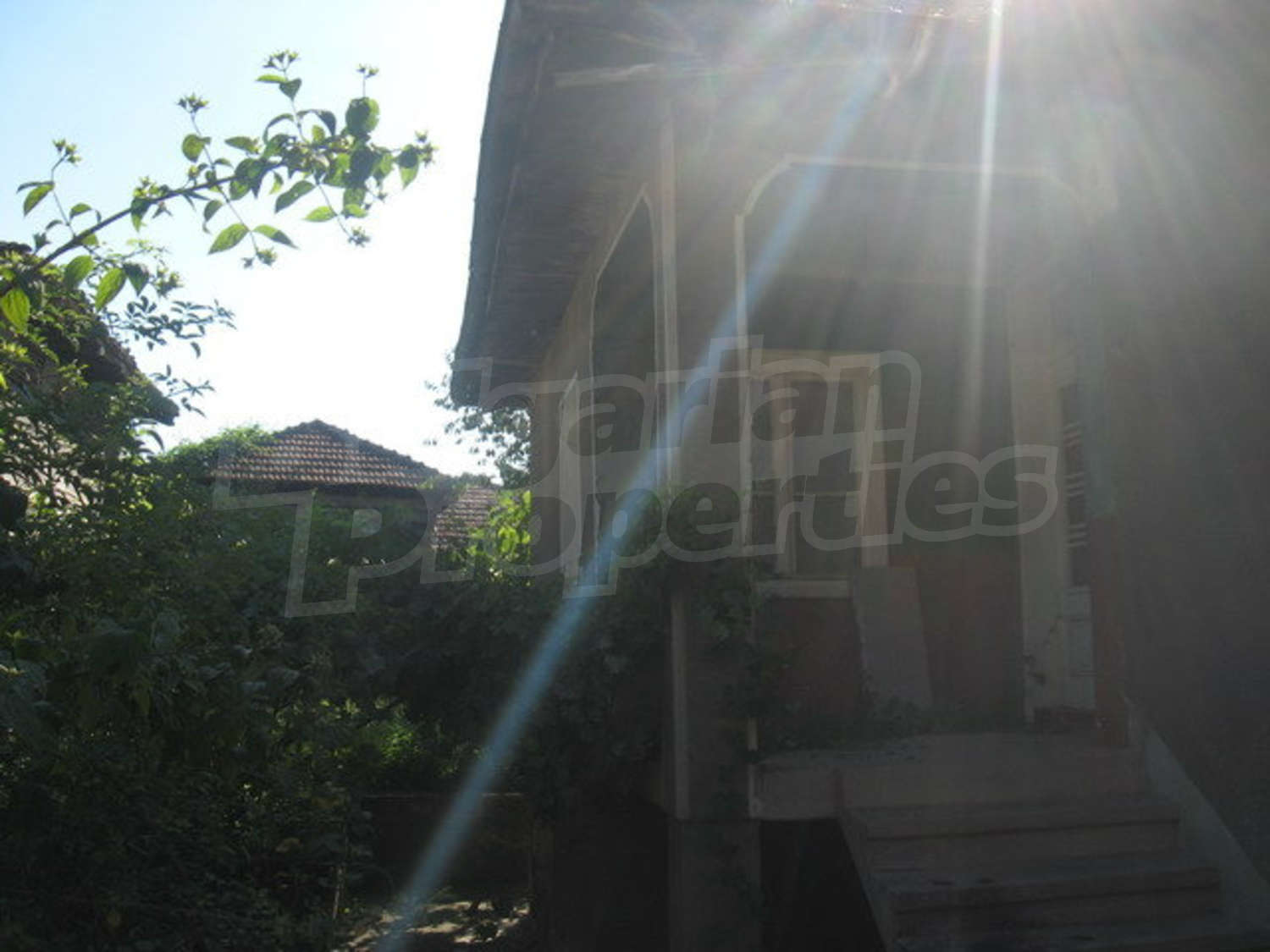 Gallery Picture 10