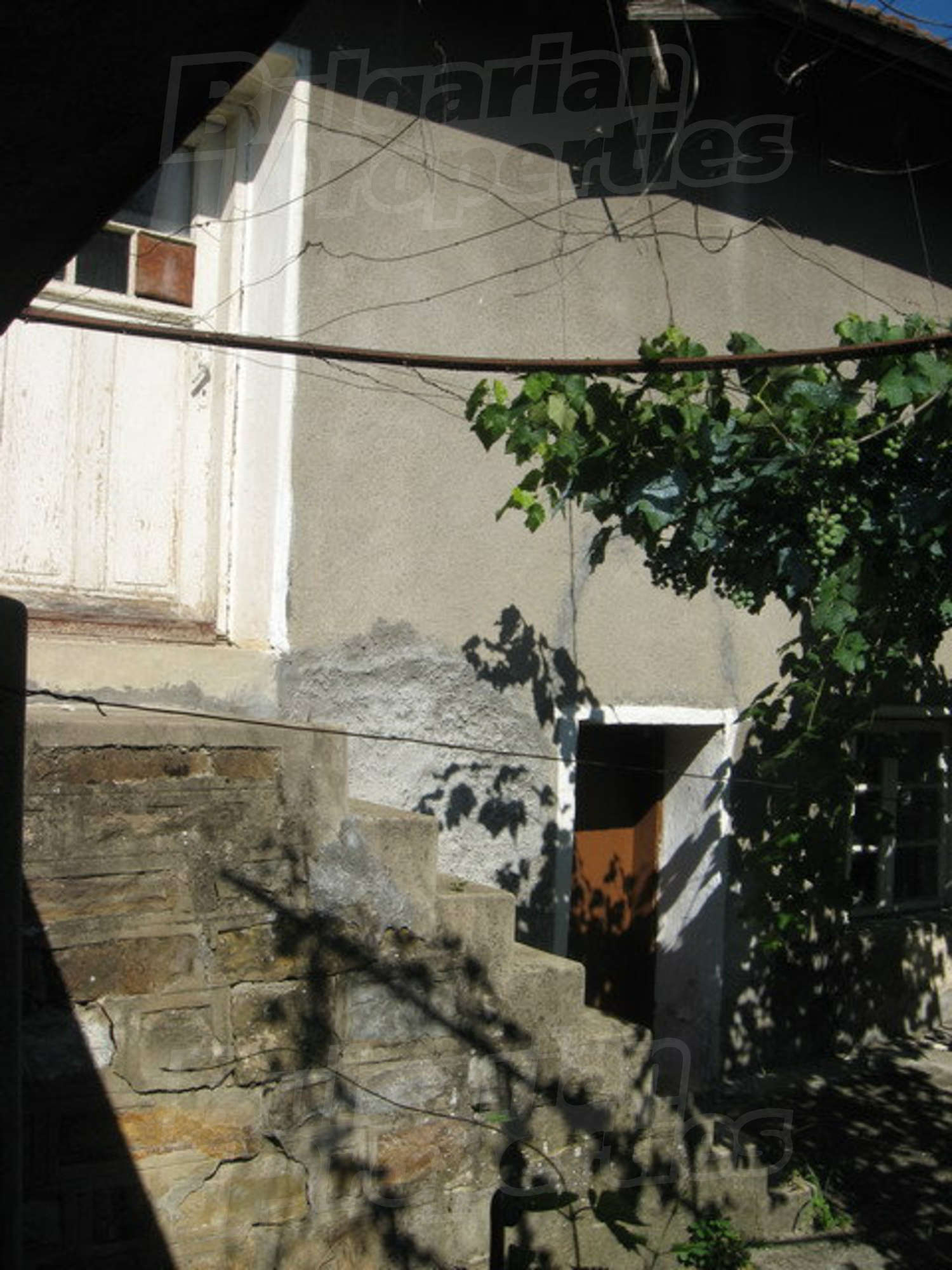 Gallery Picture 11