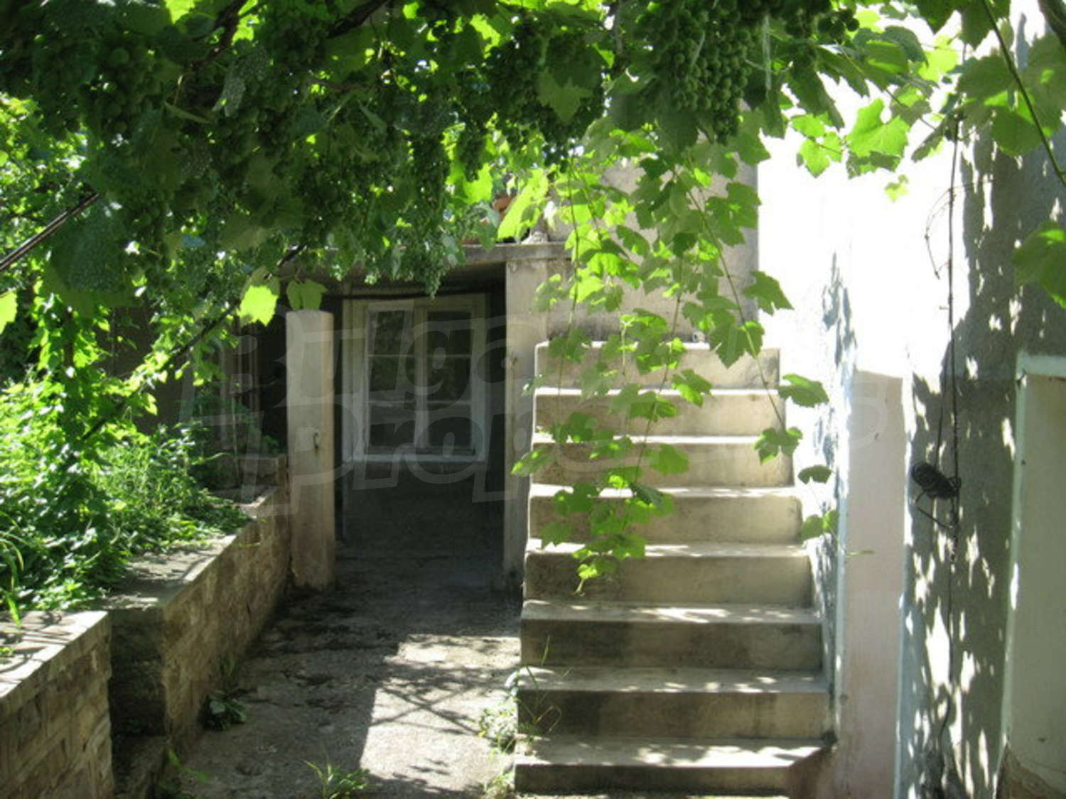 Gallery Picture 12