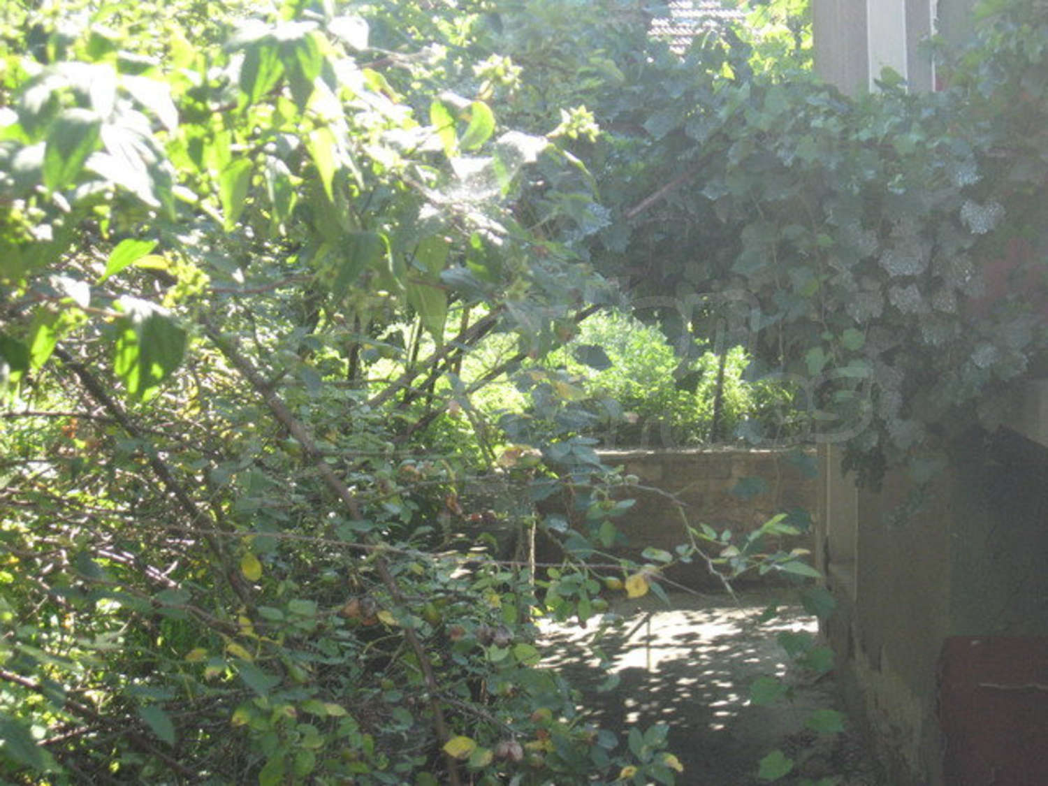 Gallery Picture 17