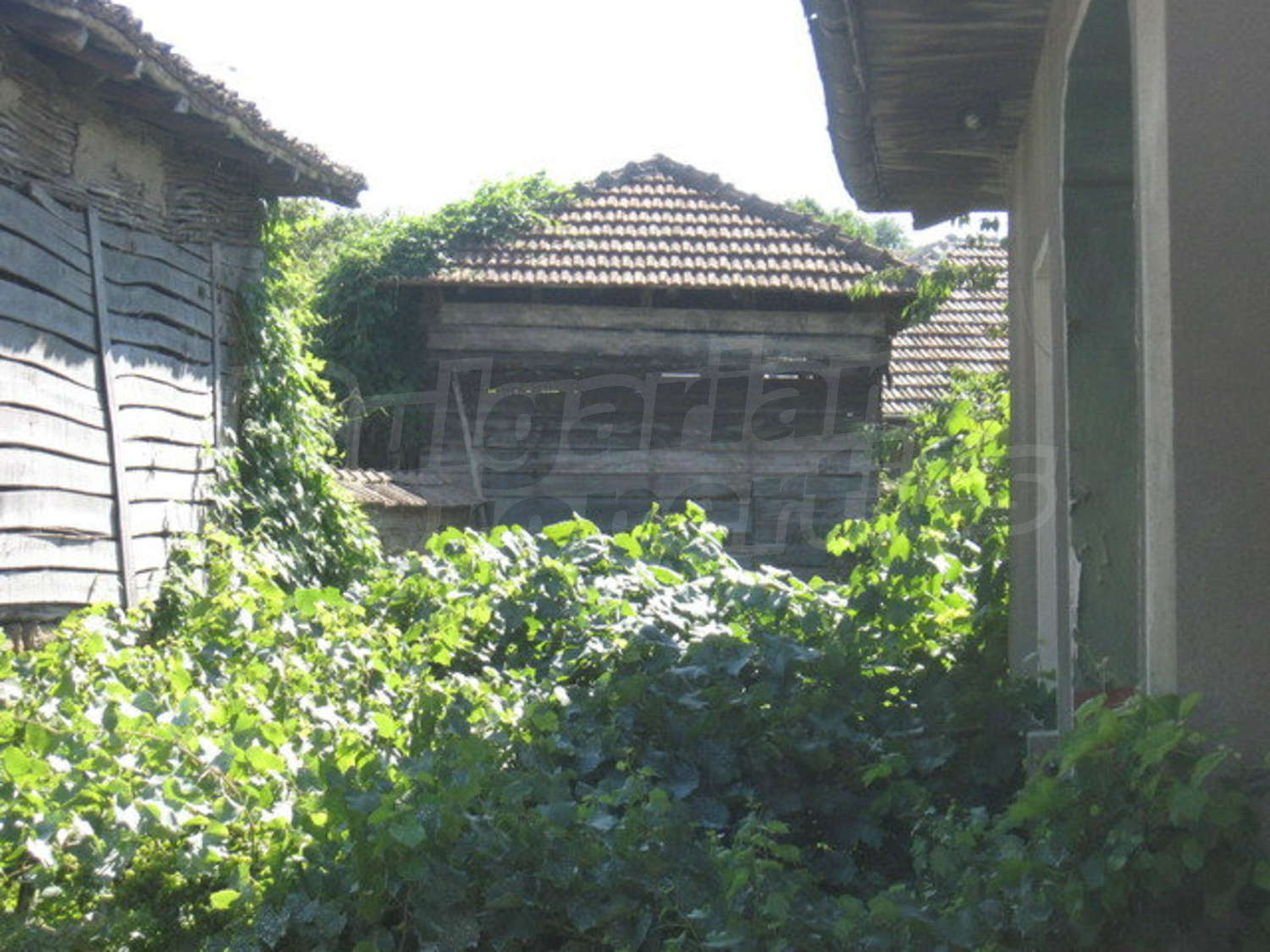 Gallery Picture 18