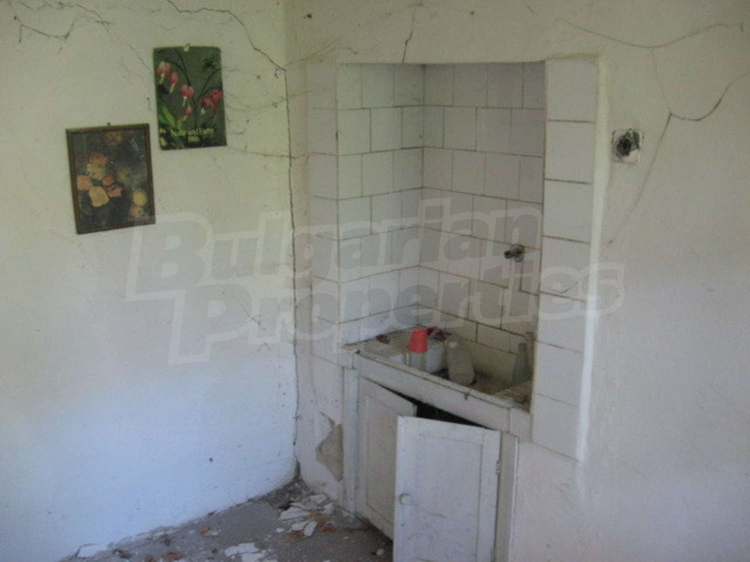 Gallery Picture 24