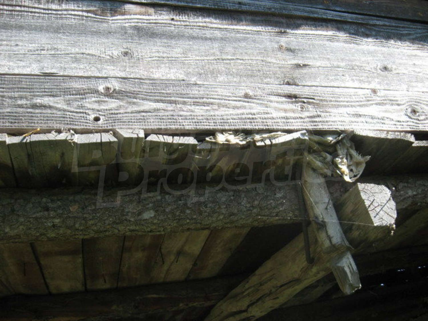 Gallery Picture 26