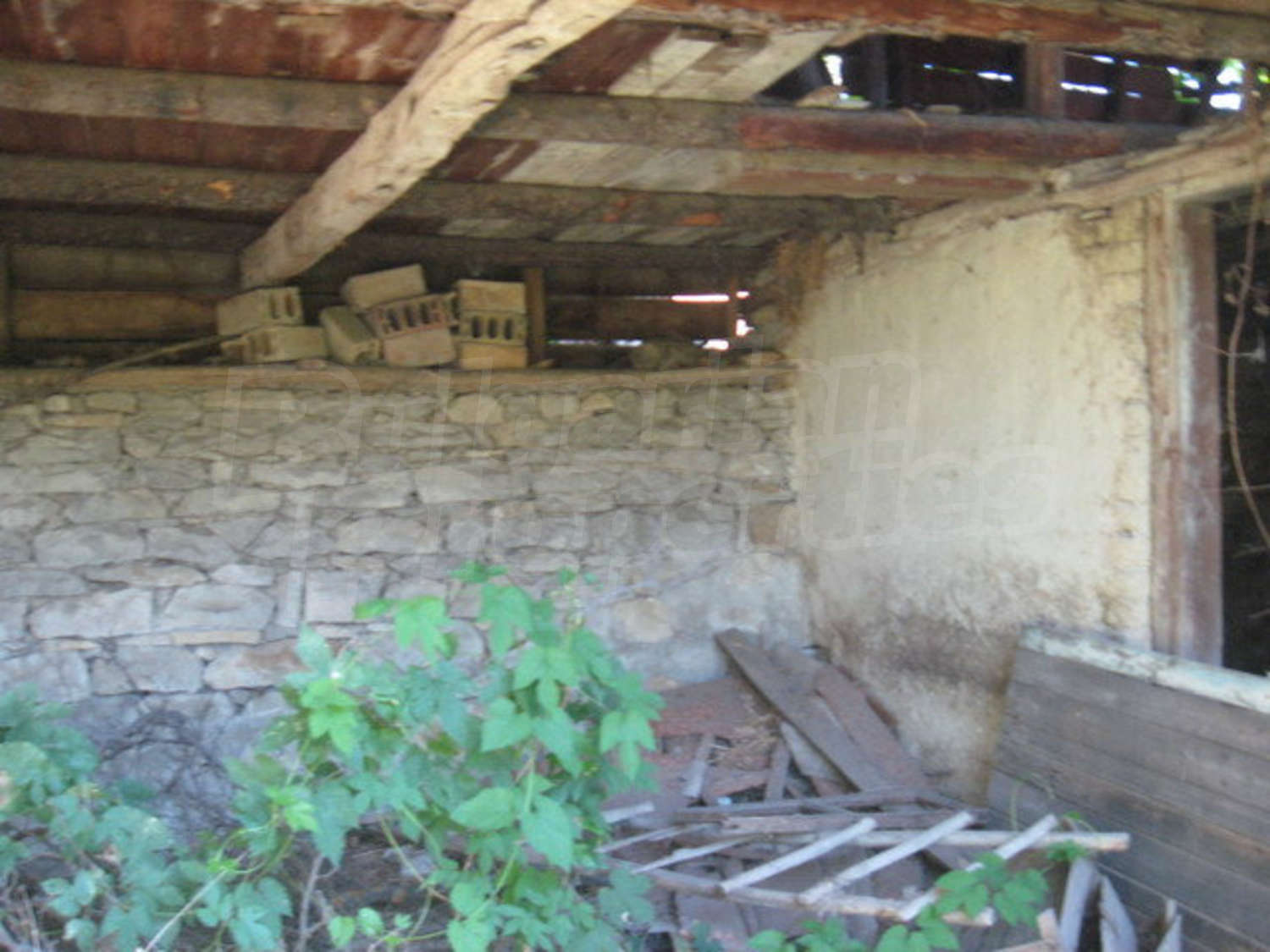 Gallery Picture 27