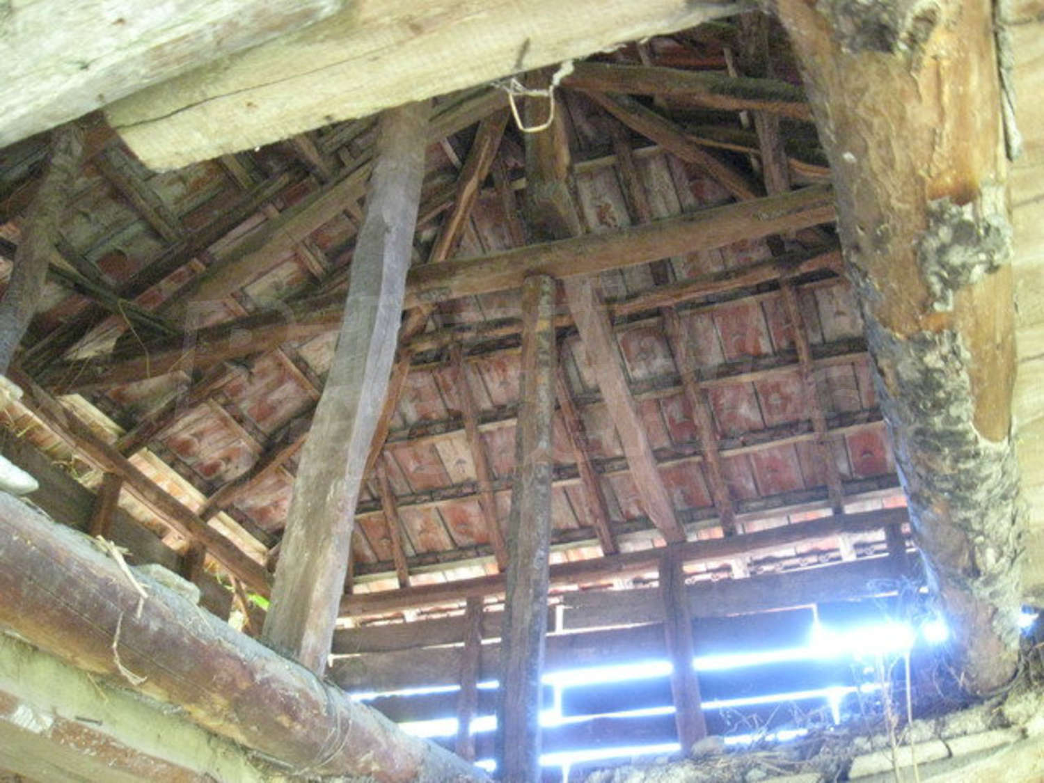 Gallery Picture 28