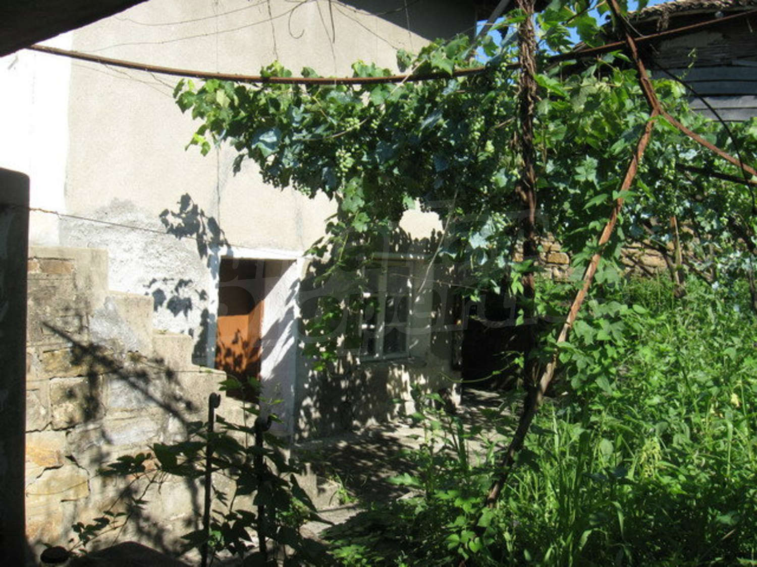 Gallery Picture 3