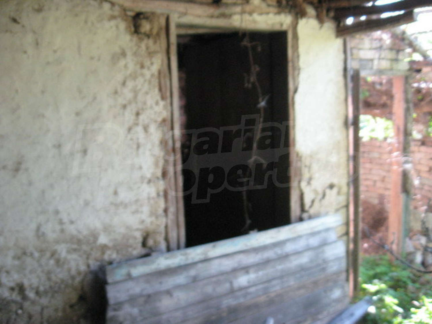 Gallery Picture 34