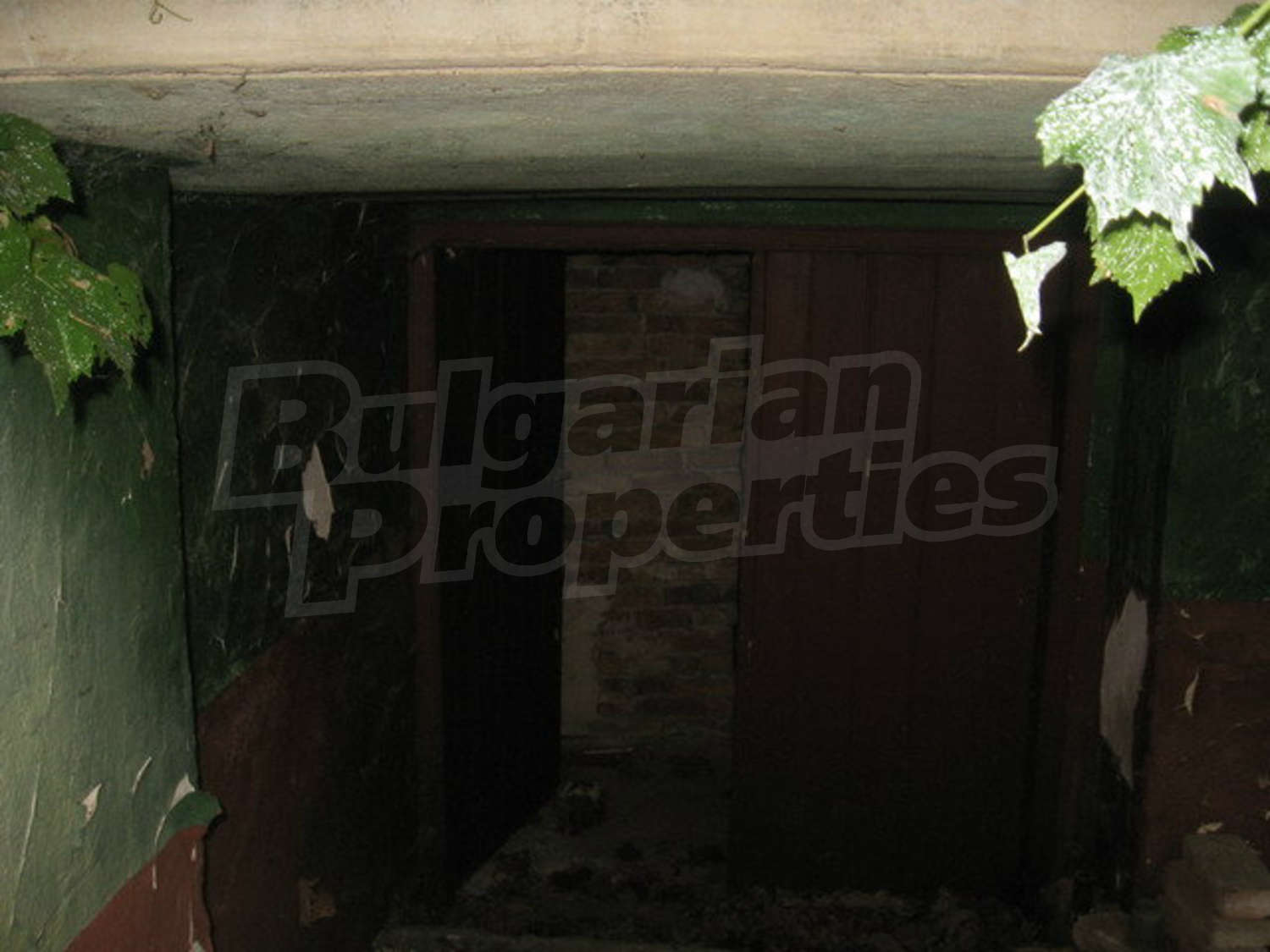Gallery Picture 4