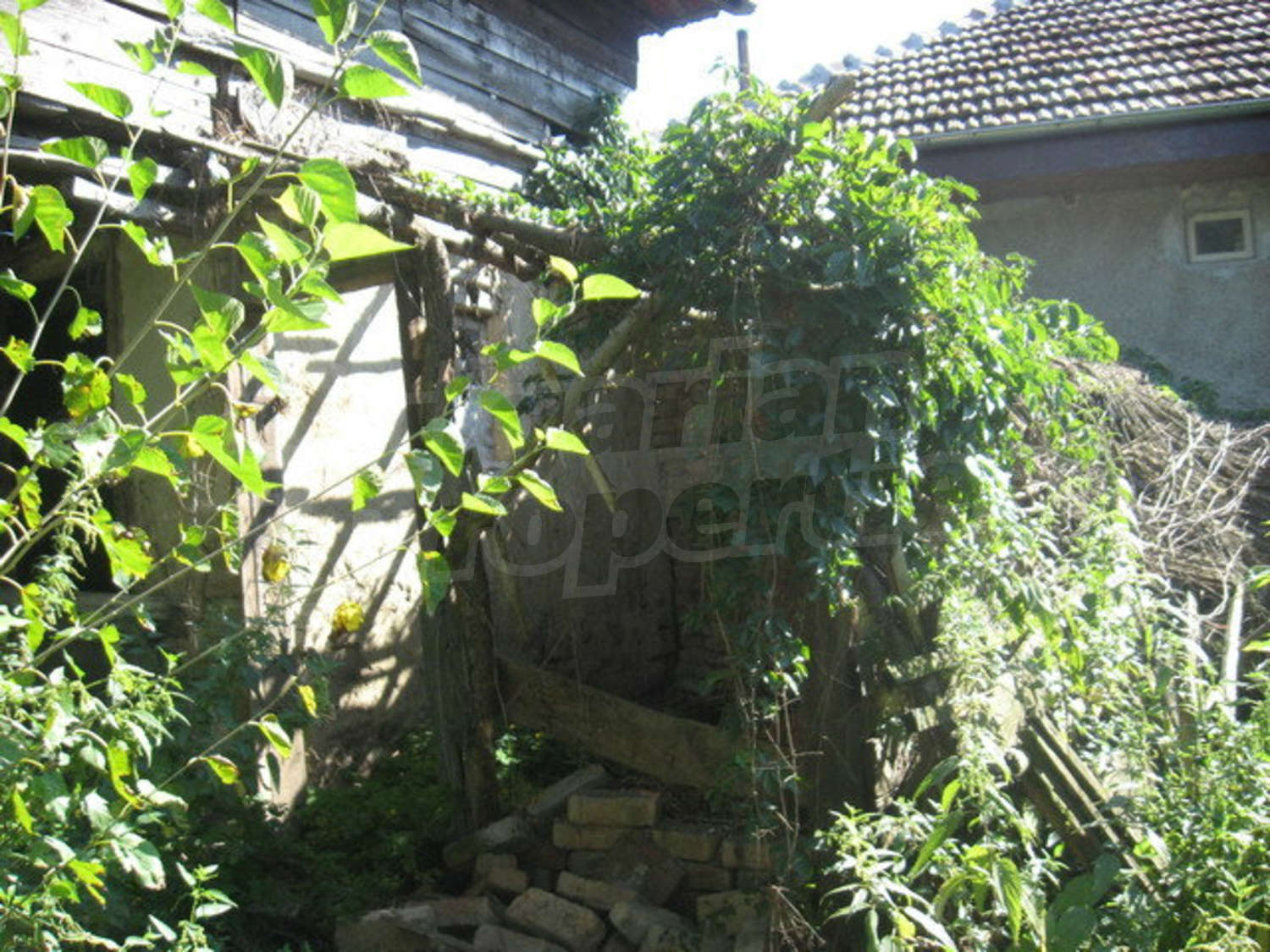 Gallery Picture 5