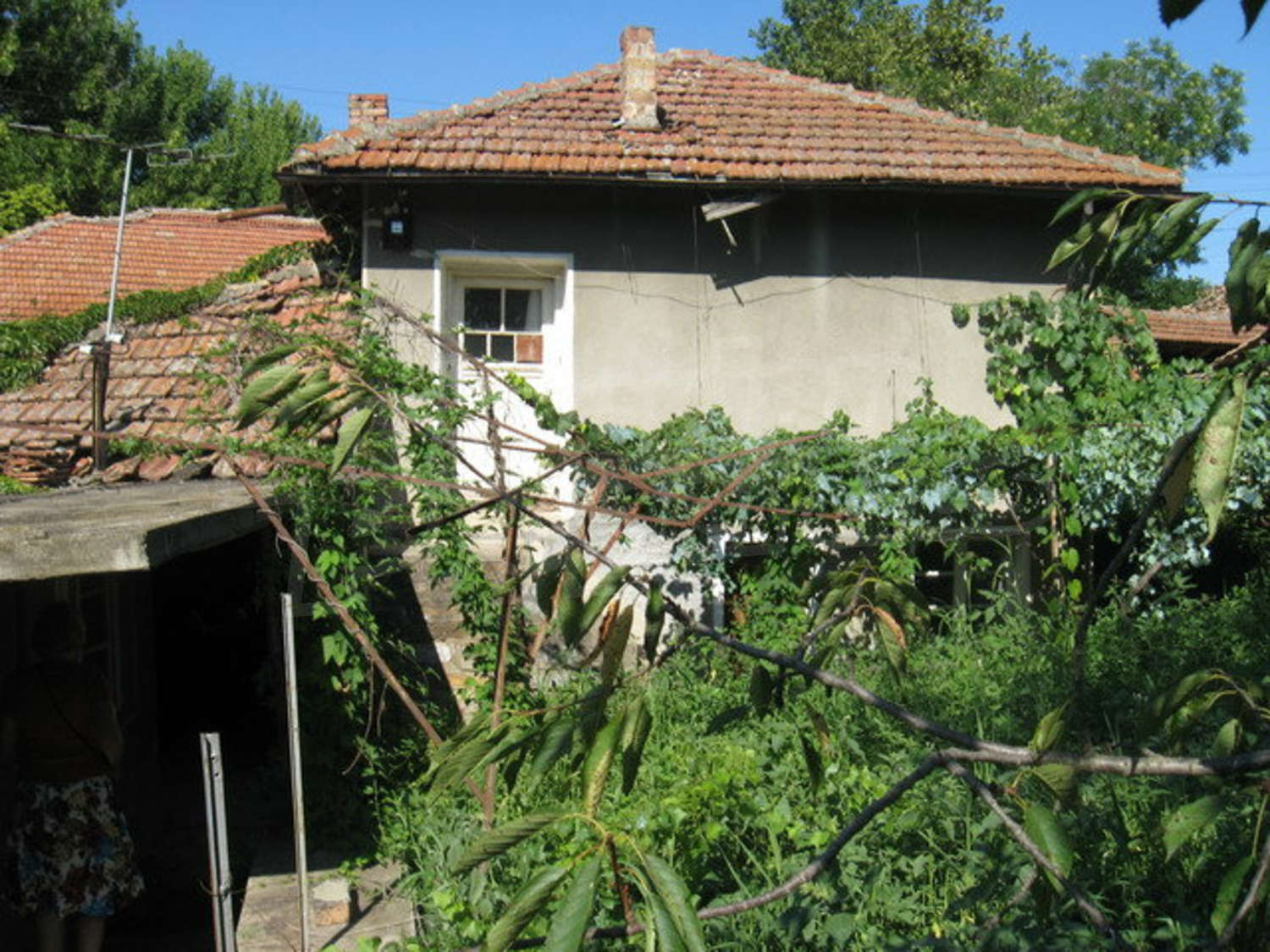 Gallery Picture 9