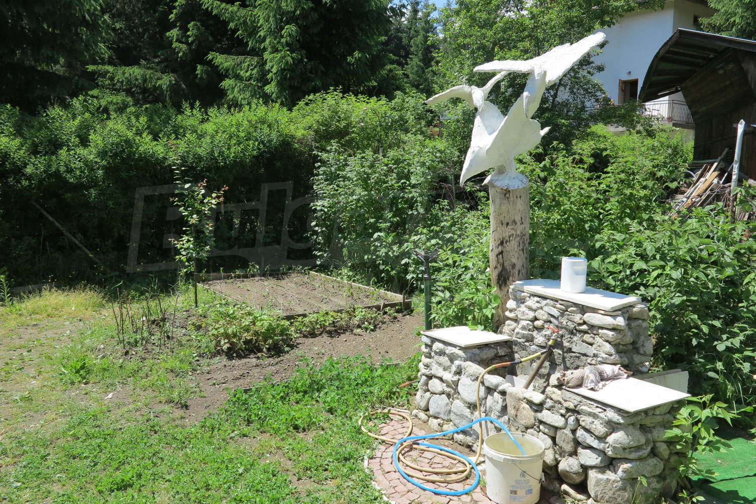 Gallery Picture 12