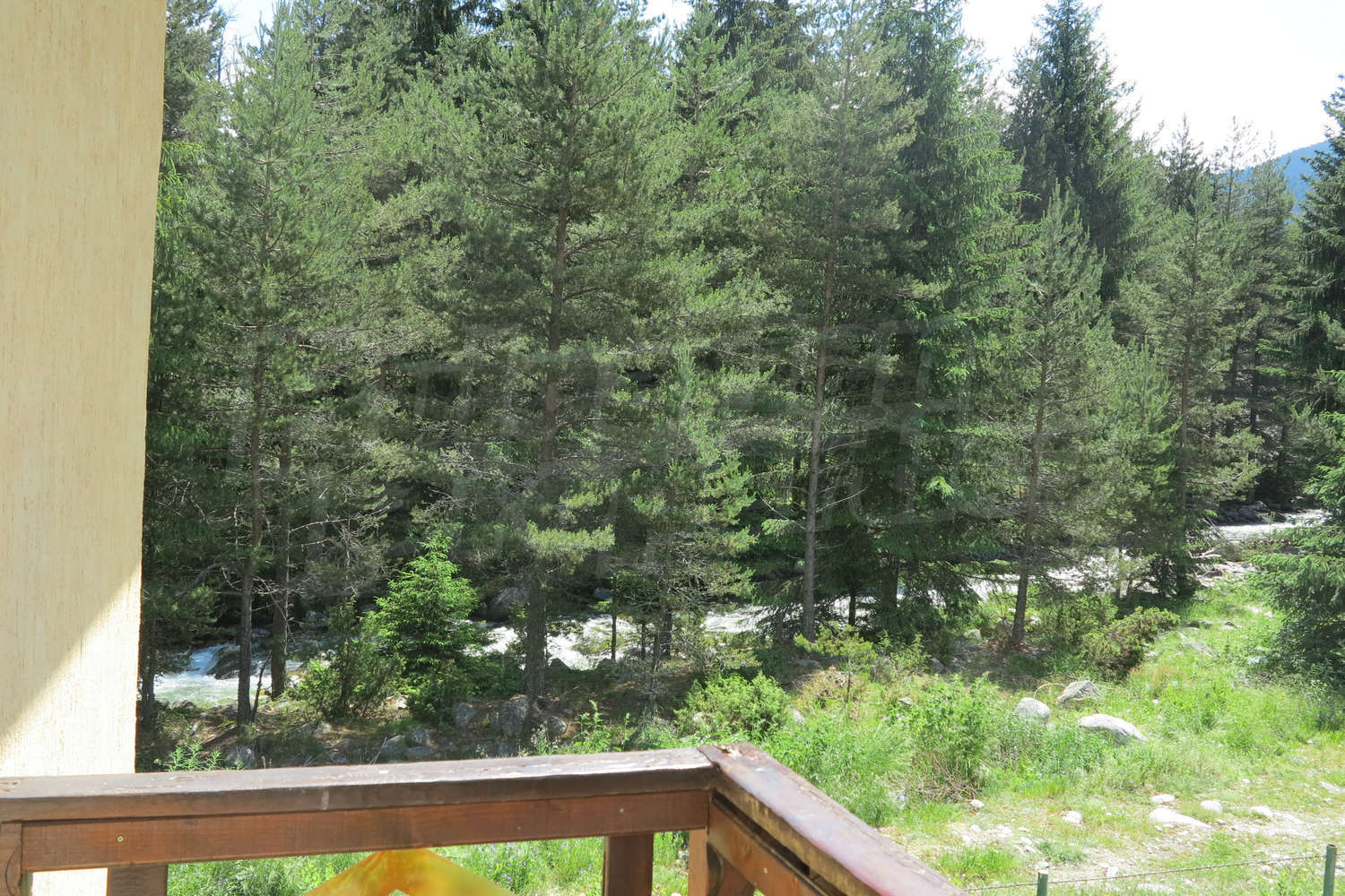Gallery Picture 18