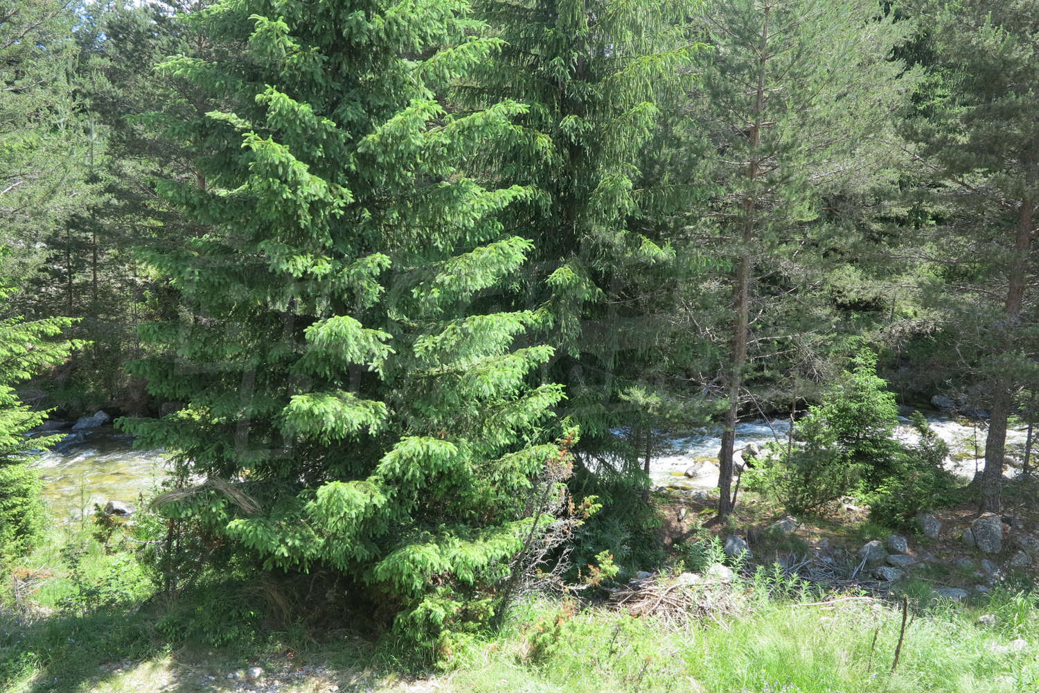 Gallery Picture 23