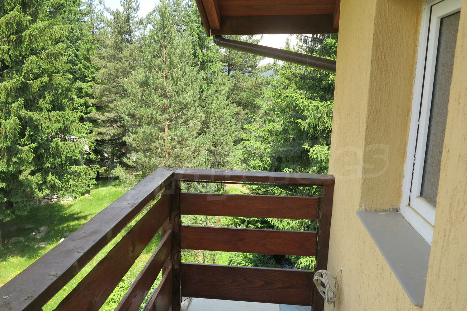Gallery Picture 38
