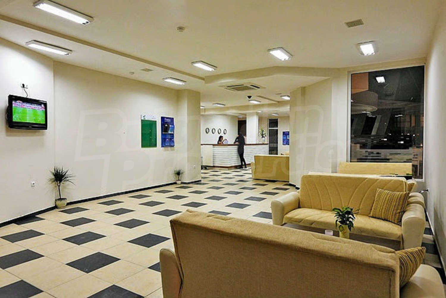 Gallery Picture 10